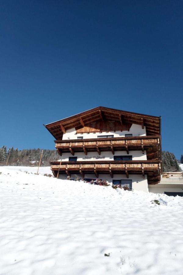 Wildbachl By Interhome Apartment *